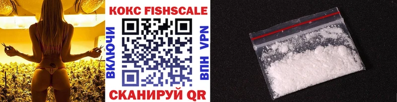 даркнет наркотические препараты  закладка  Алейск  КОКАИН FishScale 