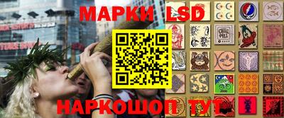 сатива Абинск