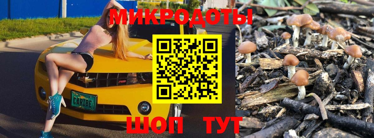 Галлюциногенные грибы GOLDEN TEACHER  Вход с VPN  Алейск 